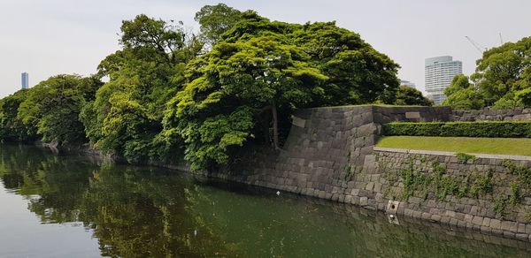 Trees by lake against sky in city