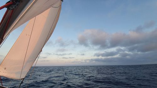 Sailboat sailing on sea against sky