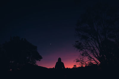 Silhouette trees against sky at night