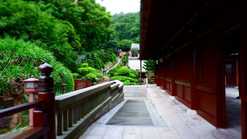 Footpath amidst buildings in city