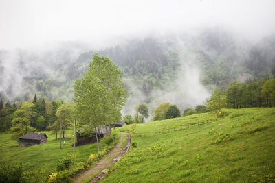 Scenic view of rural landscape