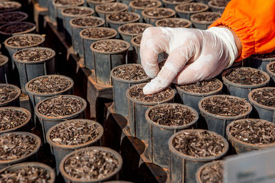 Biofuels production in brazil