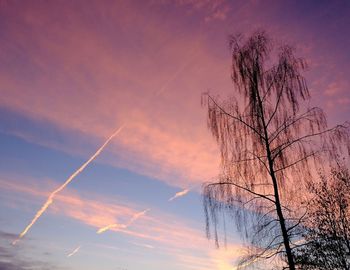 Low angle view of tree against sky during sunset