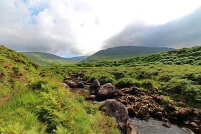 Scenic view of green landscape and mountains against sky