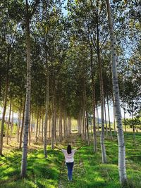 Rear view of man standing by trees in forest