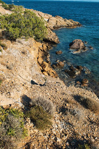 High angle view of rocks on shore