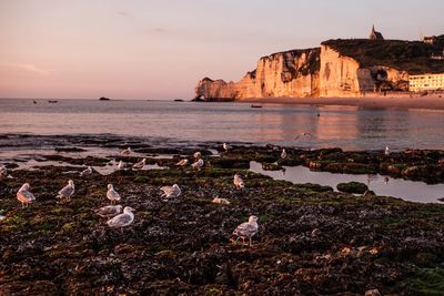 Scenic view of sea against sky during sunset