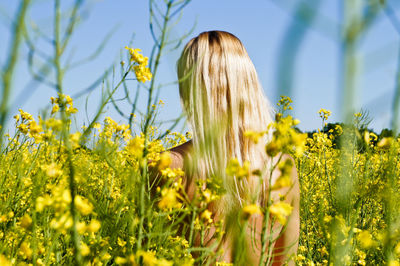 Close-up of yellow flowers blooming in field