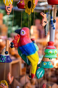 Close-up of birds hanging on the for sale