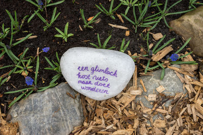 High angle view of text on stone