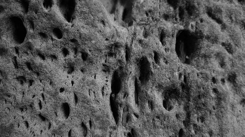 Full frame shot of textured surface