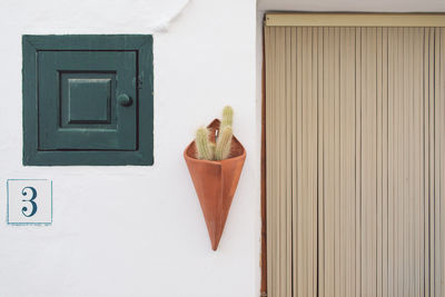 Potted plant on wall