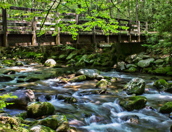 Stream flowing through rocks in forest