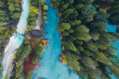 High angle view of rice paddy