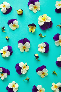 High angle view of various flowers on table