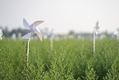 Close-up of toy on field against sky