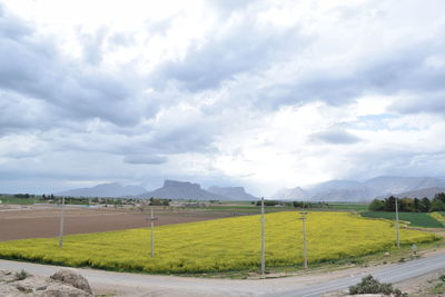 Scenic view of field against sky