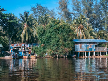 Palm trees by lake against sky