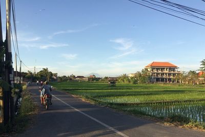 Man cycling on road in city against sky