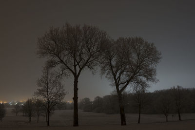 Bare trees on landscape against clear sky at night