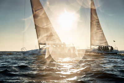 Sailboat sailing in sea