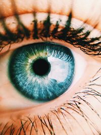 Close-up of human eye