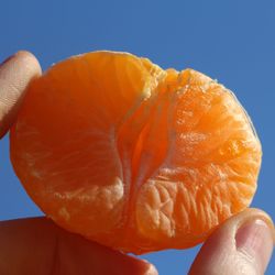 Close-up of hand holding orange