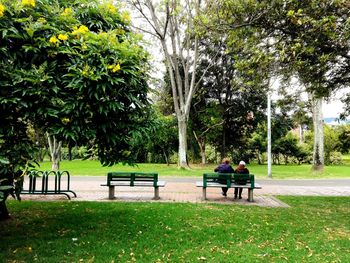 Rear view of woman sitting on bench in park