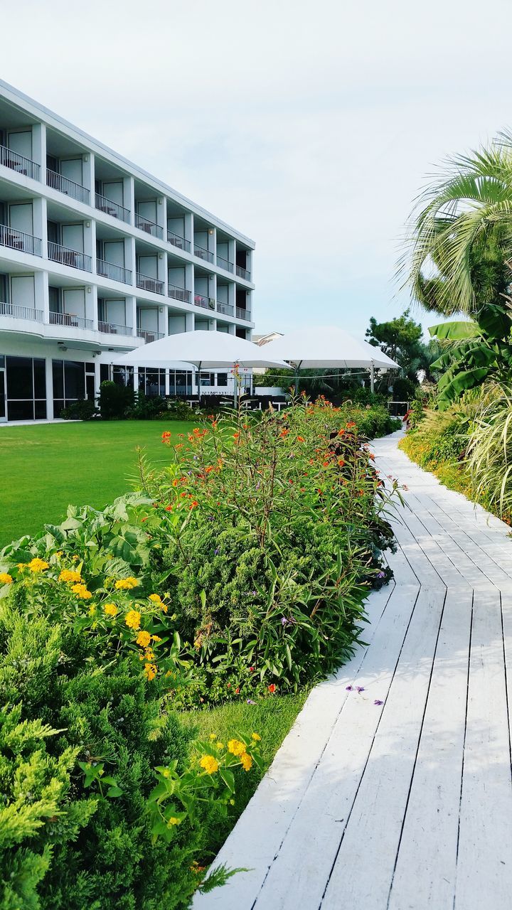 building exterior, architecture, built structure, plant, growth, sky, flower, tree, the way forward, green color, day, house, outdoors, grass, no people, nature, sunlight, footpath, leaf, city