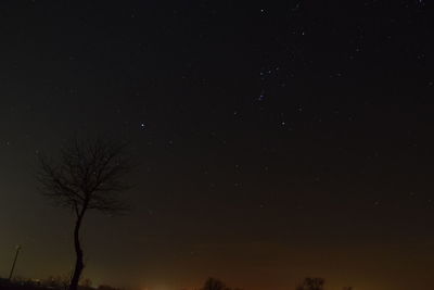 Low angle view of silhouette trees against sky at night