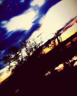 Low angle view of bare trees against sky at sunset