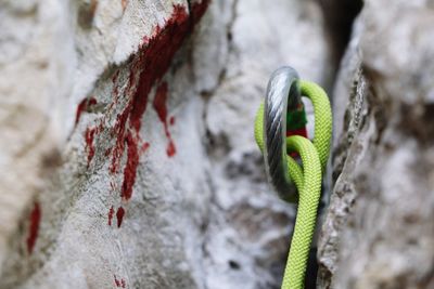 Close-up of rope on rock