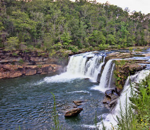 Scenic view of waterfall in forest