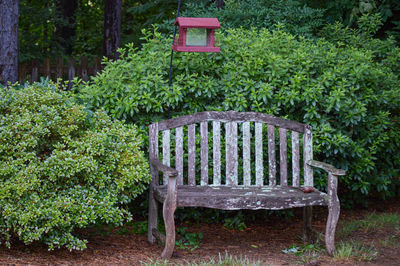 Empty bench in garden