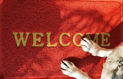 Low section of dog standing on doormat