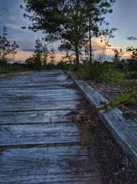 Surface level of road at sunset