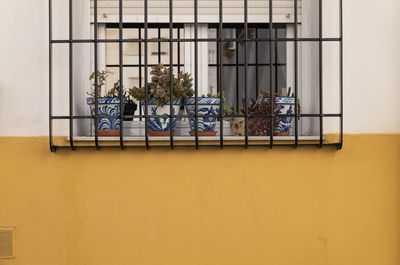 View of potted plants on window of white and yellow wall of building