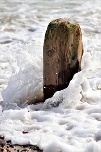 Close-up of snow covered land