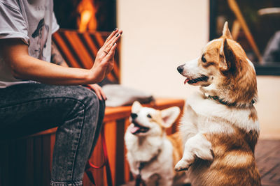 Midsection of woman with dog sitting outdoors