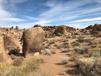 Landscape of desert greenery and vertical boulders 