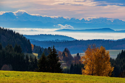 Scenic view of landscape against sky during autumn