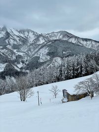 Horse on snow covered mountain