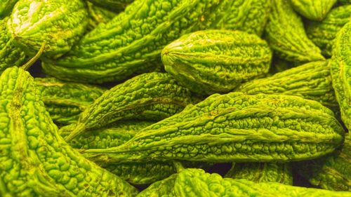 Close-up view of green vegetables