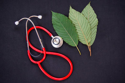 High angle view of stethoscope and leaves against black background