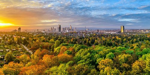 View of trees in city against cloudy sky