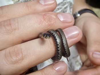 Close-up of woman holding hands