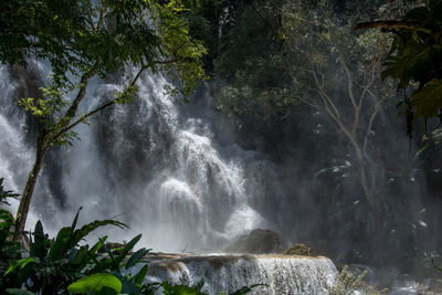 Scenic view of waterfall in forest