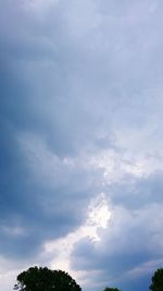 Low angle view of tree against sky