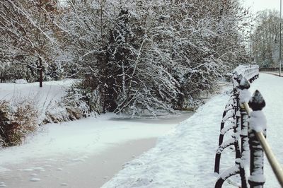 Bicycle in winter