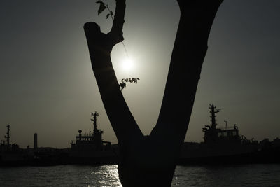 silhouette
